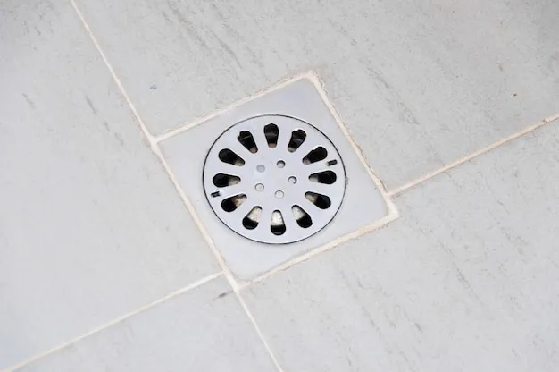 Foto: rawintanpin – Freepik – Premium License